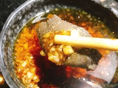 空运绿色毛肚-渝利重庆火锅