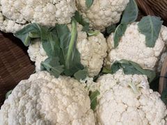 -益利大酒楼(井岸店)