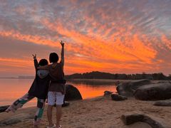 -瑶湖郊野森林公园