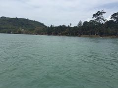 -椰树岛海滩度假村