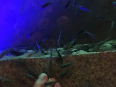 -宝丽金大酒店·洗浴中心