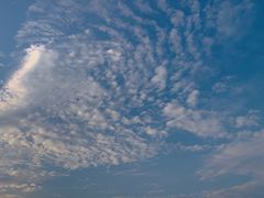 -白塘生态植物园