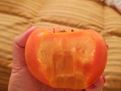 -中部国际机场