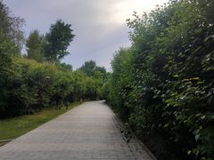 -群力丁香公园