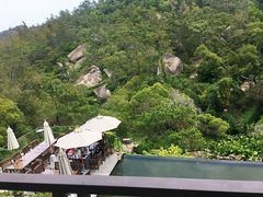 -厦门园林植物园-植物园滴水山房