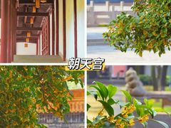 -鸡鸣寺