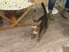 -小时光咖啡馆(开森度假森林店)