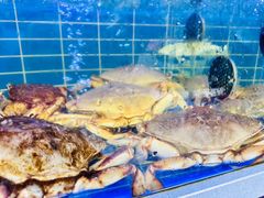 -金海湾海鲜排档(朱家尖店)
