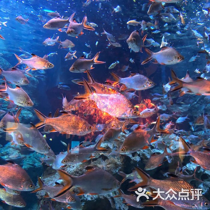 海滨城浩海立方海洋馆