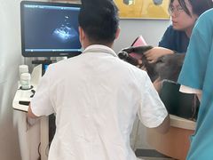 -联合动物医院(光谷诊疗中心)