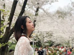 -武汉大学-樱园