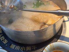 -刘少华贵州小黄牛·鲜牛肉火锅(总店)