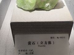 -湖南省地质博物馆