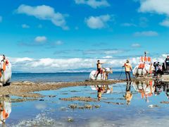 -青海湖国家重点风景名胜区
