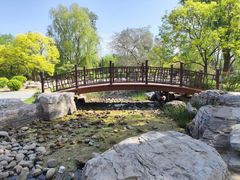 -莲花池公园