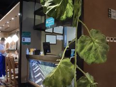 -云海肴·云南小炒·汽锅鸡(天津国金汇店)