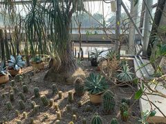 -南山植物园