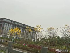 -长洲岛都市农业公园