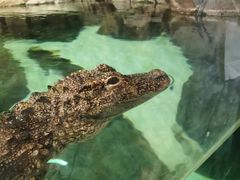 -上海海洋水族馆