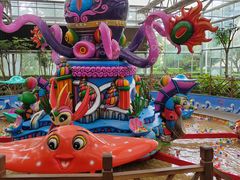 -南宫五洲植物乐园