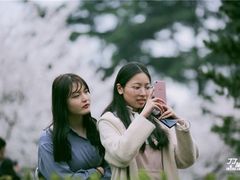 -武汉大学-樱园