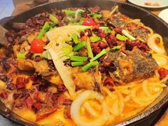 -老板恋上鱼(恒隆广场店)