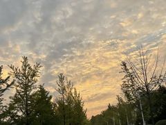 -浙江农林大学(东湖校区)