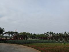 -万绿园