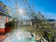 -喵屿·大理花园猫咖