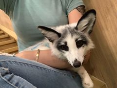 -藦茜花园宠物主题亲子互动体验馆(国顺东路店)