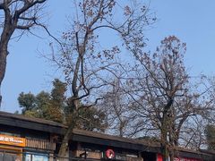 -茶颜悦色(岳麓山顶店)