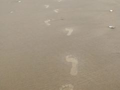-六鳌翡翠湾滨海度假景区