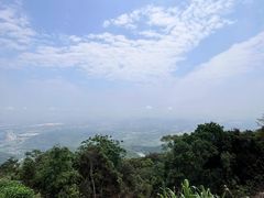 -黄埔油麻山森林公园