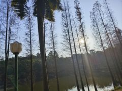 -三水森林公园