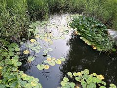 -东戴河风景区