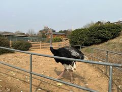 -无锡动物园·太湖欢乐园