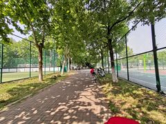 -南京奥林匹克体育中心-体育馆