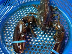 -渔民船说·北塘海鲜·天津菜·海肠捞饭(北塘古镇店)