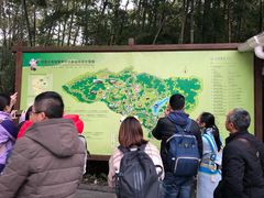 门面-成都大熊猫繁育研究基地