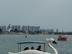 -九龙湖公园