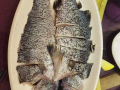 -南燕湾渔家码头