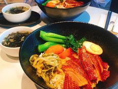 -MR鹅外