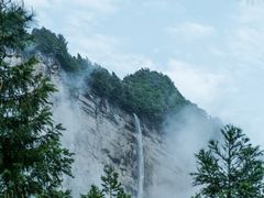 -重庆睡佛山森林公园