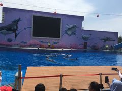 -北戴河圣蓝海洋公园