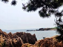 -八大关景区