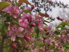 -元大都城垣遗址公园