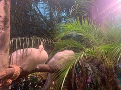 -正佳雨林生态植物园