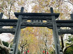 -杭州黄龙洞