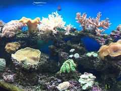 iphone_upload_pic-御唐府海珊瑚主题餐厅