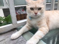-小时光咖啡馆(北锣鼓巷店)